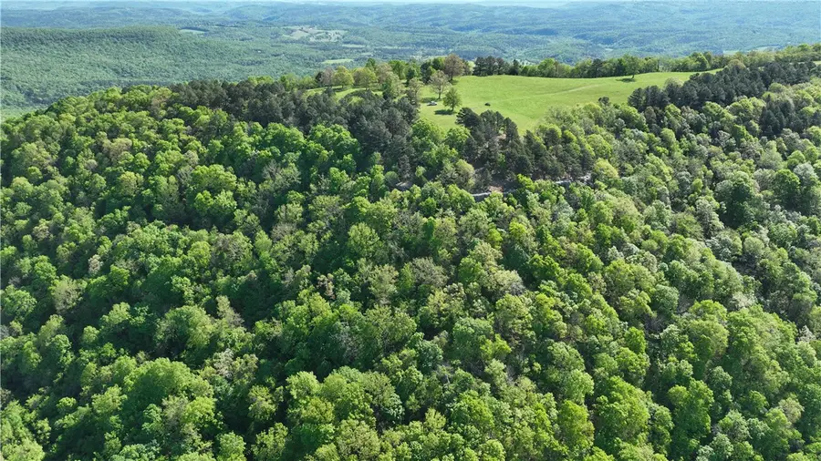 TBD Hwy 74, Mount Judea, AR 72655 - #2