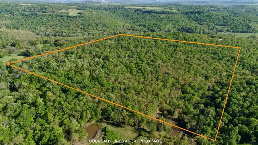 0000 Cr 7670, Hindsville, AR 72738 - #2