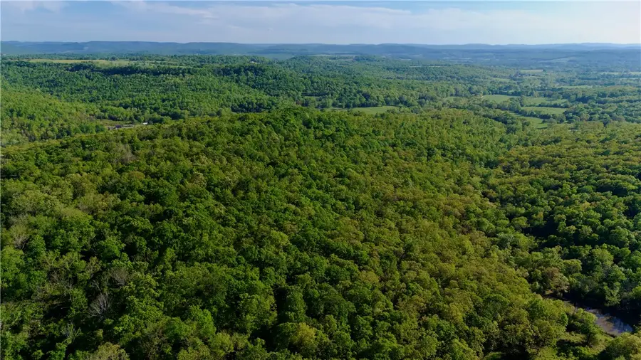 0000 Cr 7670, Hindsville, AR 72738 - #3