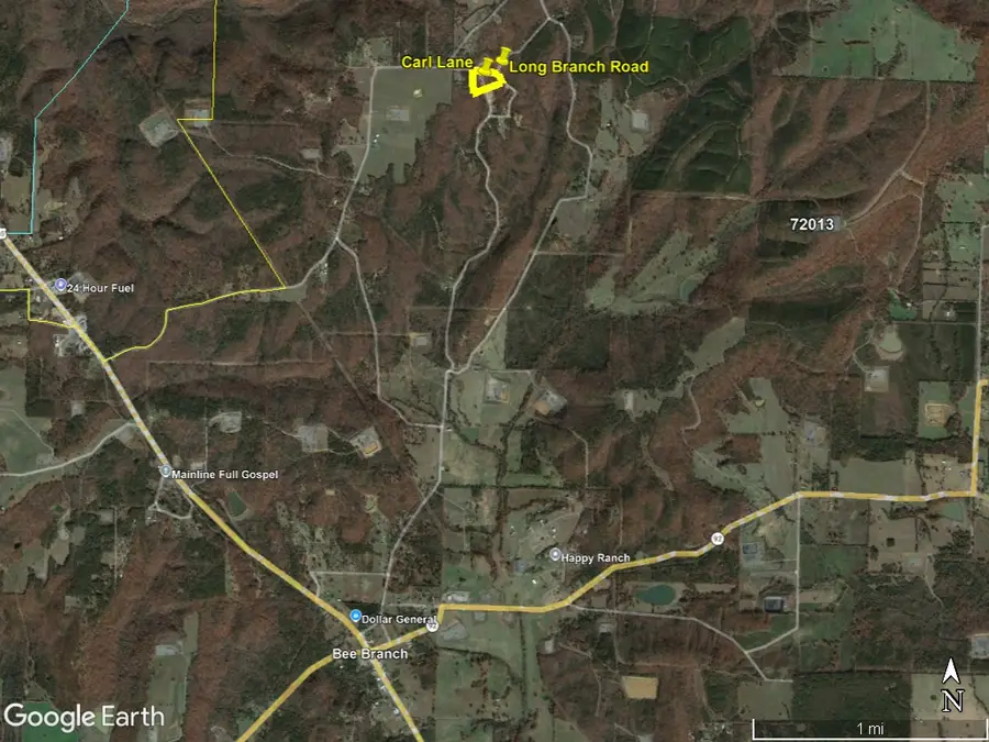0000 Long Branch, Bradley, AR 72013 - #3