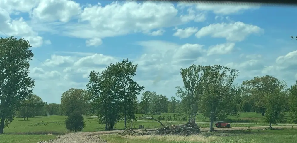 1999 Llewellyn Loop, Hector, AR 72843 - #1