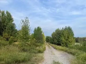 Crawford Street, Clarksville, AR 72830 - #2