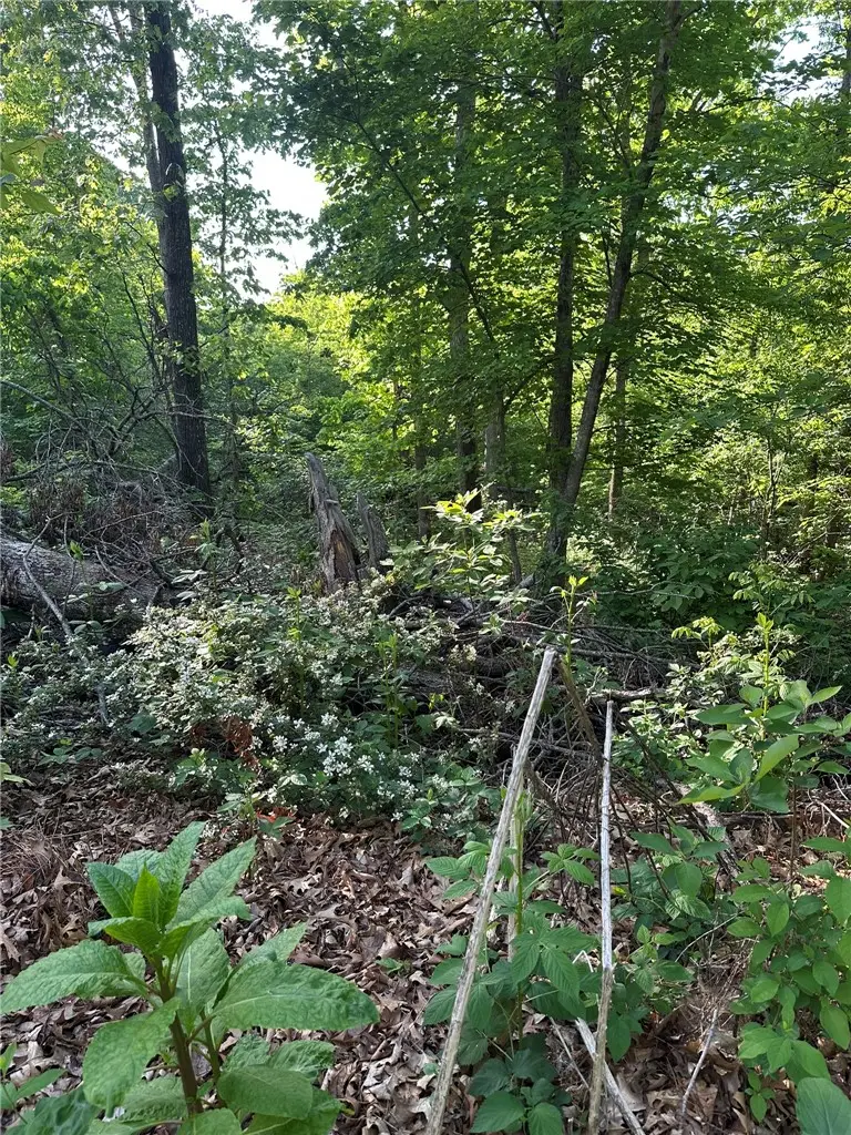 Greenlaw Lane, Bella Vista, AR 72715 - #2