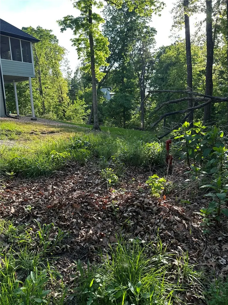 Greenlaw Lane, Bella Vista, AR 72715 - #3