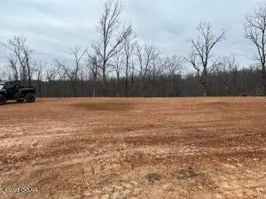 Lot 11 Wilshire Boulevard, Pineville, MO 64856 - #3