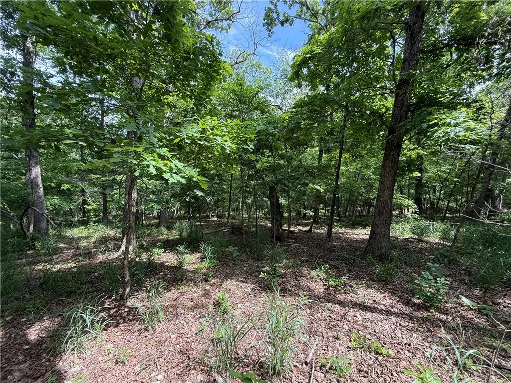 TBD Cr 206, Eureka Springs, AR 72632 - #1