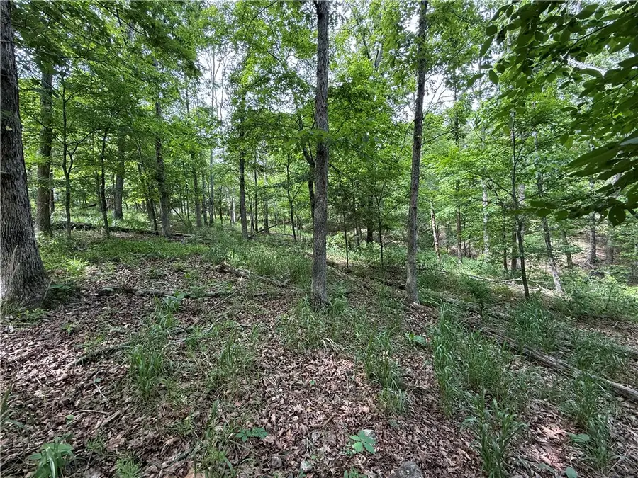 TBD Cr 206, Eureka Springs, AR 72632 - #2