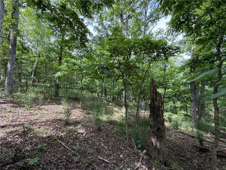 TBD Cr 206, Eureka Springs, AR 72632 - #3