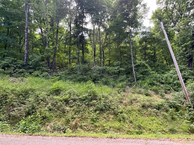 6 Wildcat Drive, Holiday Island, AR 72631 - #1