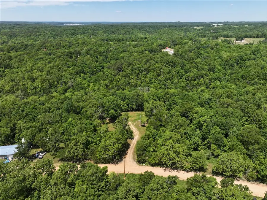 589 Hickory Lane, Pineville, MO 64856 - #3