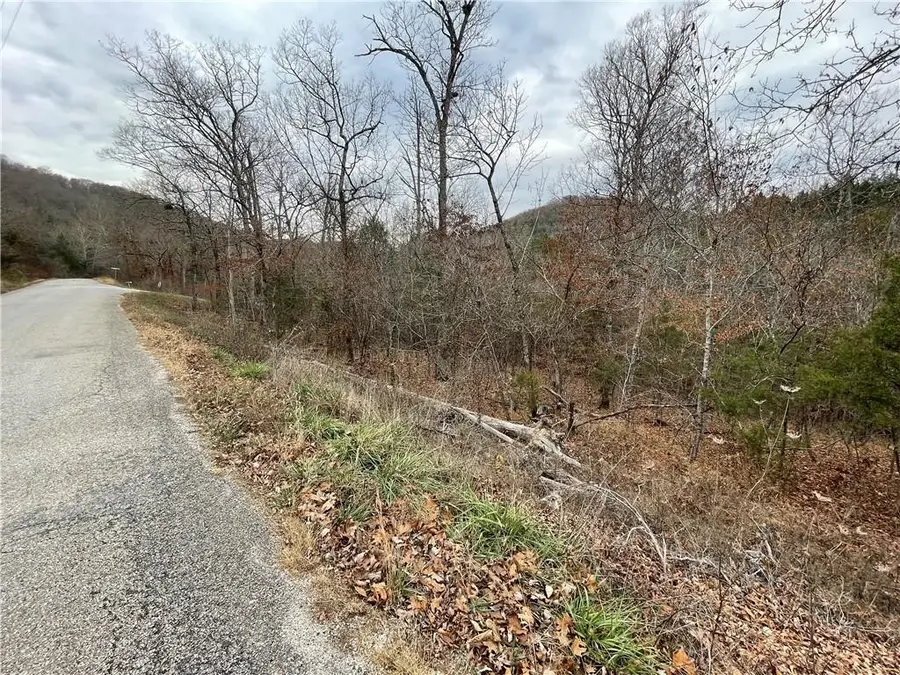 88 Valley Drive, Holiday Island, AR 72631 - #2
