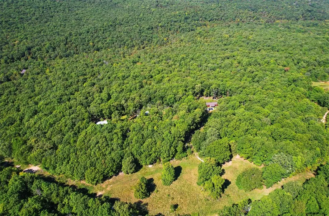 14790 Slaty Gap Road #tract A & B, West Fork, AR 72774 - #1