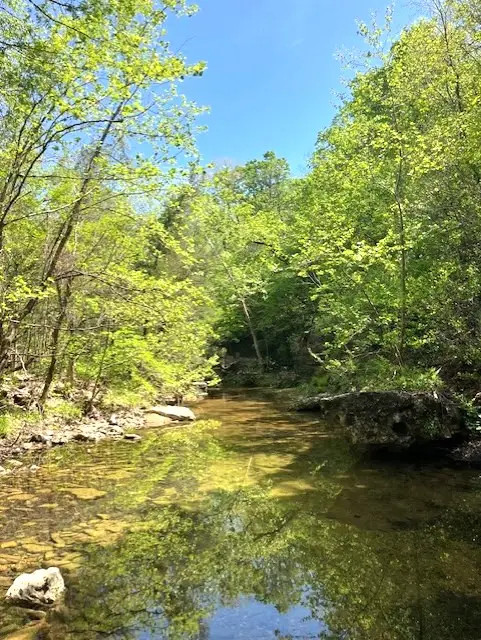 Wilderness Spring Trail., Harrison, AR 72601