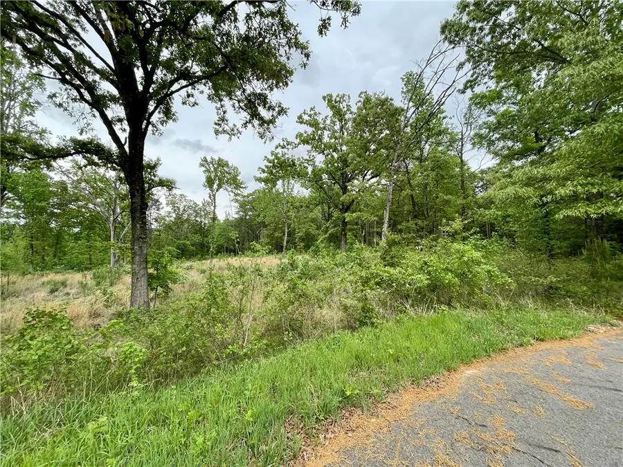 Lot 14 Galaxy Lane, London, AR 72847 - #3