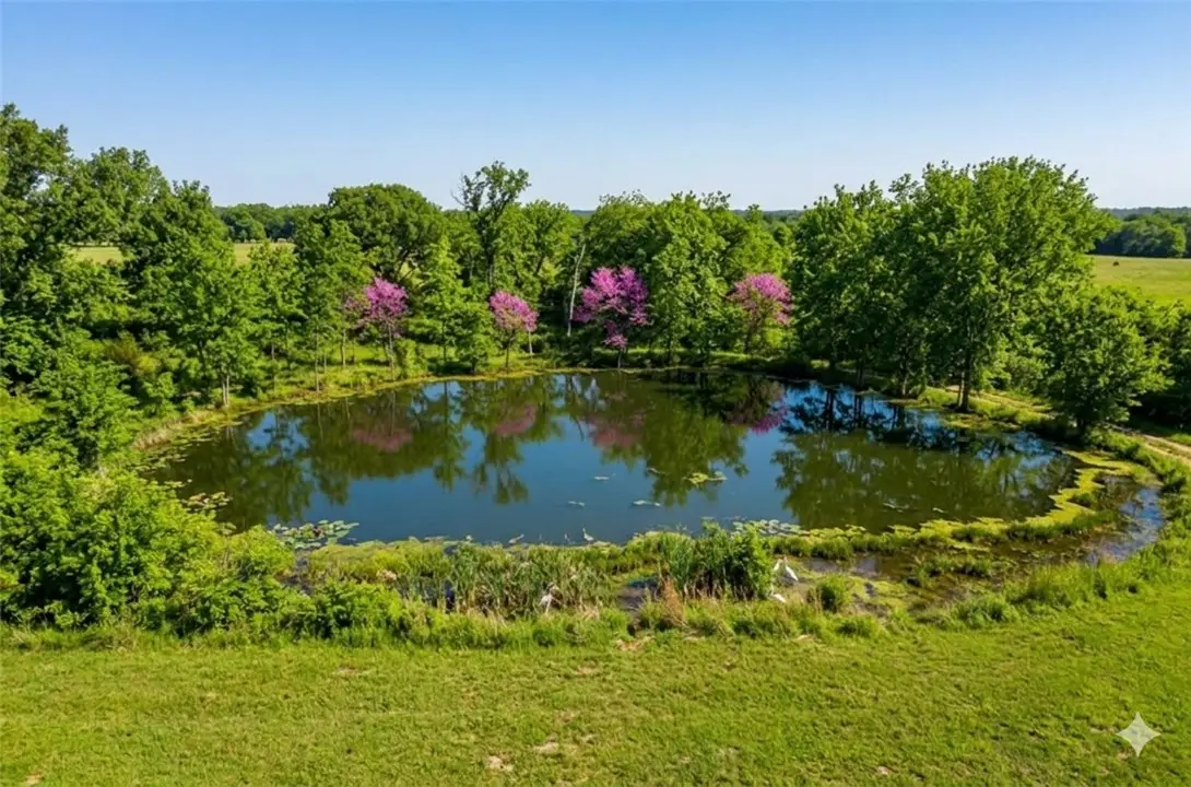 TBD Mulberry Lane, Eureka Springs, AR 72631 - #1