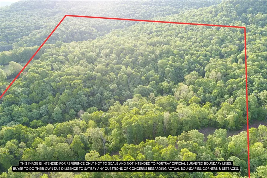 TBD CR 935, Alpena, AR 72611 - #2