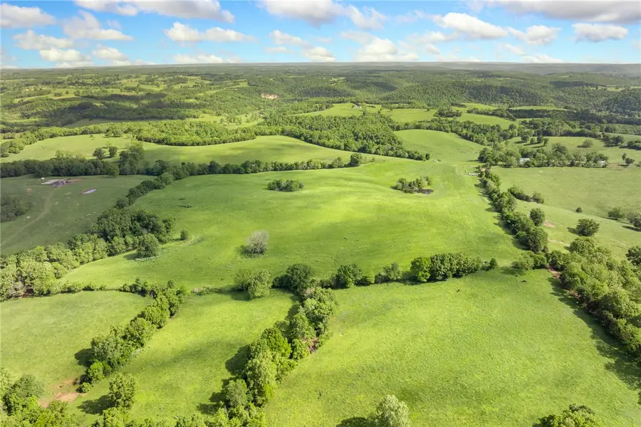 706 County Road 650, Green Forest, AR 72638 - #2