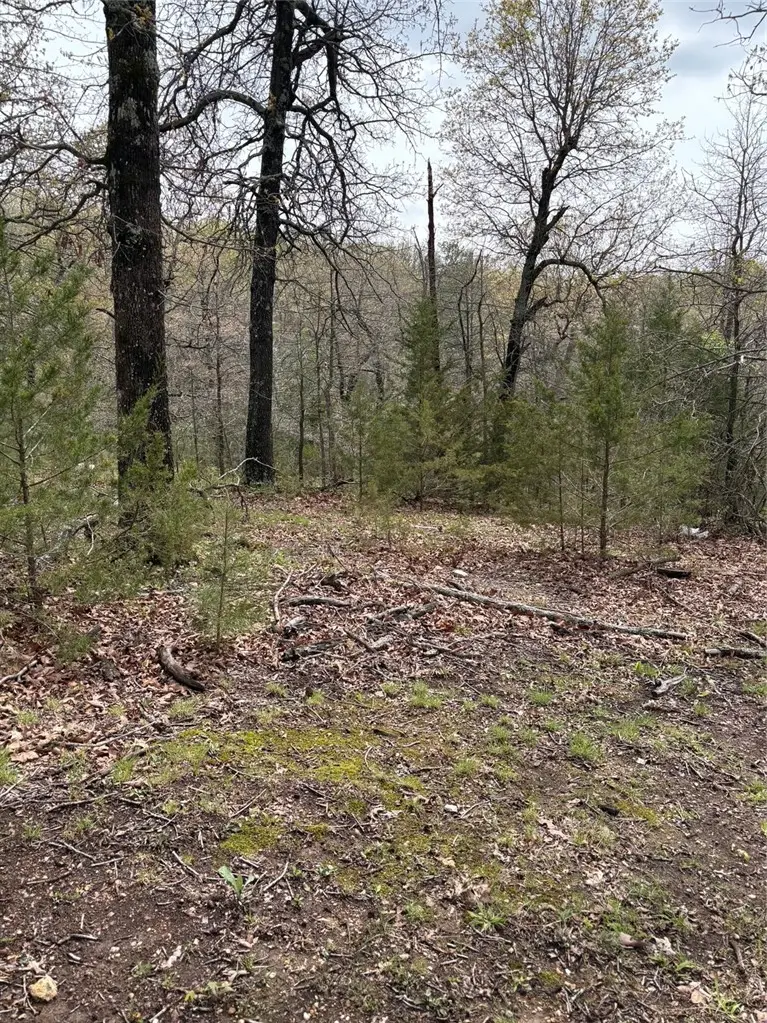 TBD N Lakewood Drive, Lowell, AR 72745 - #2