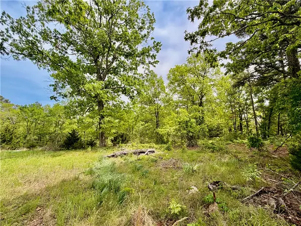 52 County Road 117, Eureka Springs, AR 72631