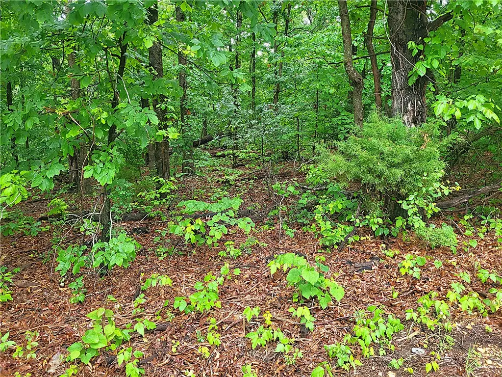 Hadleigh Lane, Bella Vista, AR 72714 - #1