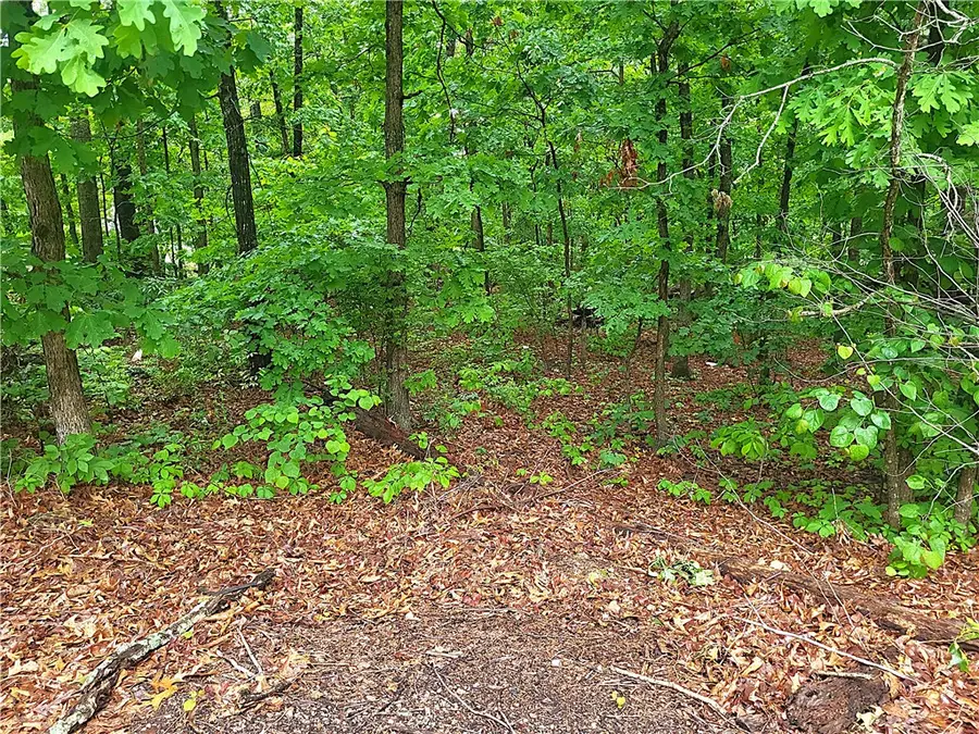 Hadleigh Lane, Bella Vista, AR 72714 - #2