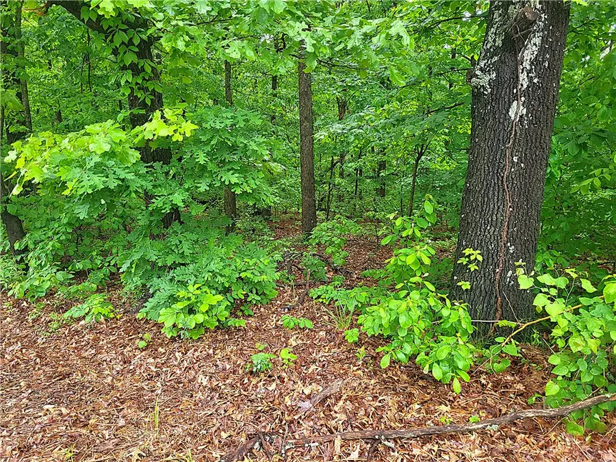 Hadleigh Lane, Bella Vista, AR 72714 - #3
