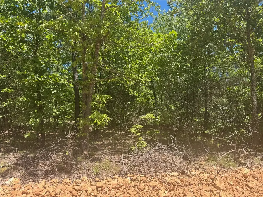 TBD 875 Road, Bunch, OK 74931 - #3