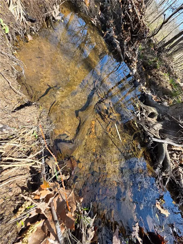 Mountain Springs Rd, Compton, AR 72624