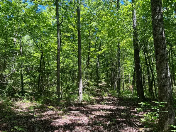 Terrapin Road, Harrison, AR 72601