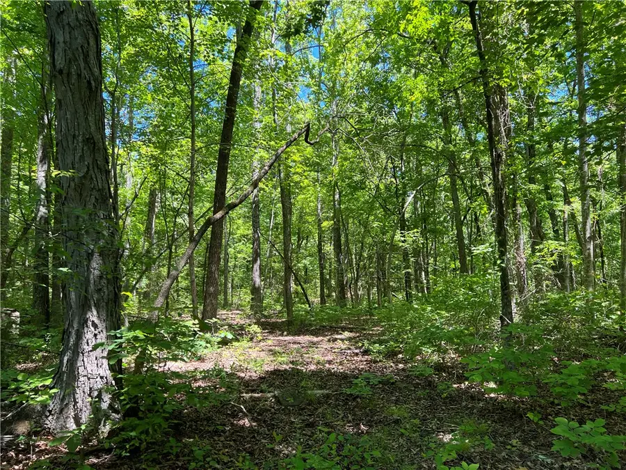 Terrapin Road, Harrison, AR 72601 - #2