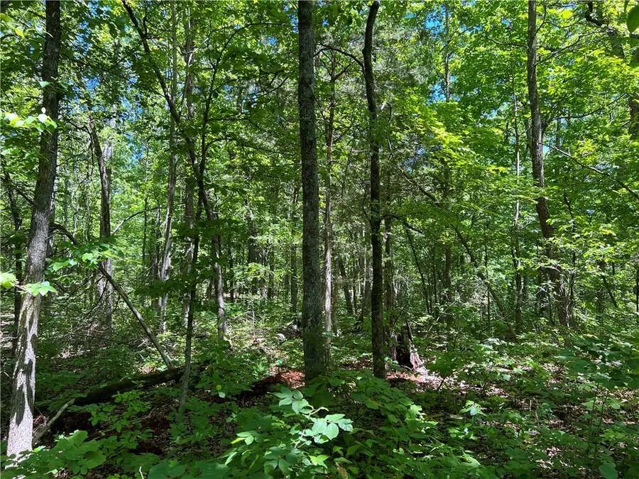 Terrapin Road, Harrison, AR 72601 - #3