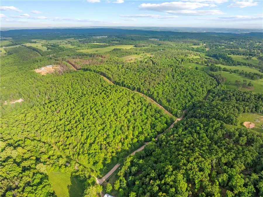 229 Ruby Lane, Yellville, AR 72687 - #3