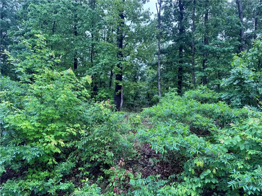 Lot 3 Cheshnut Drive, Bella Vista, AR 72714 - #2