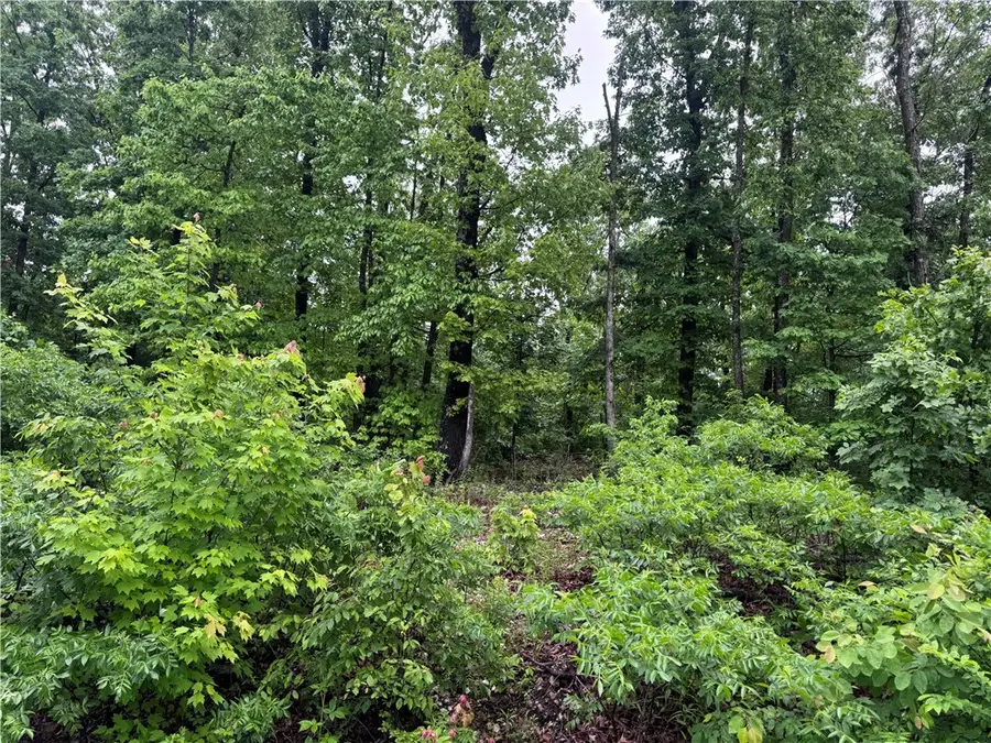 Lot 3 Cheshnut Drive, Bella Vista, AR 72714 - #3