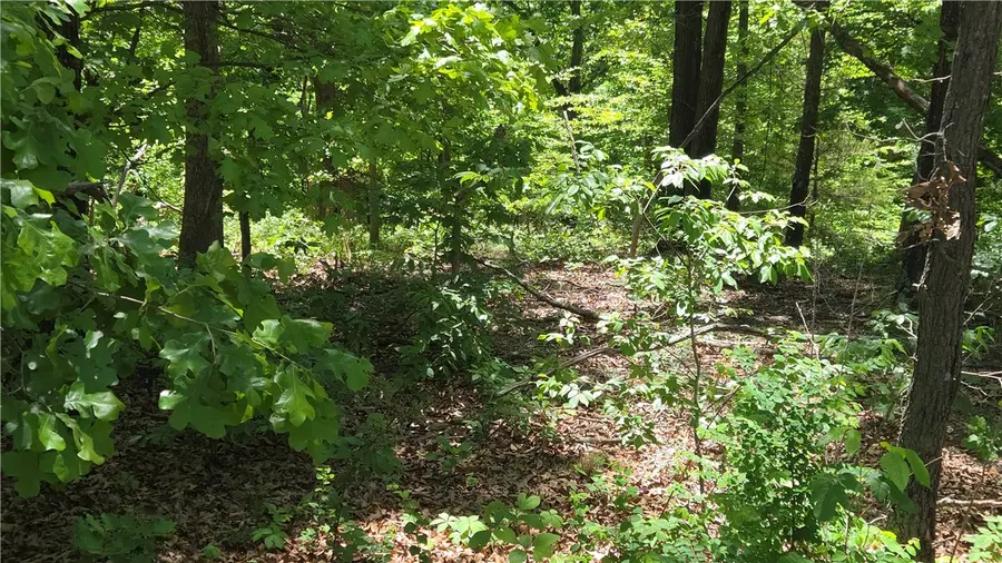 Tummell Drive, Bella Vista, AR 72715 - #3
