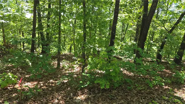 Tummell Drive, Bella Vista, AR 72715