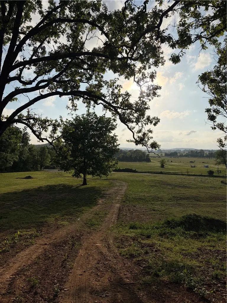 11266 Centerpoint Church Road, Prairie Grove, AR 72753 - #3