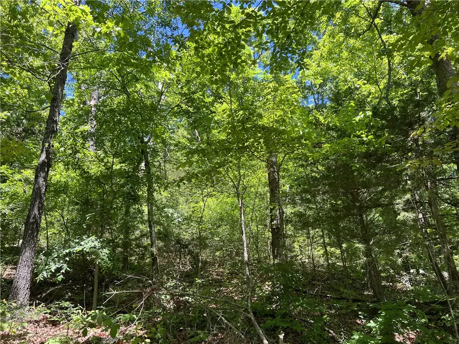 Terrapin Road, Harrison, AR 72601 - #2
