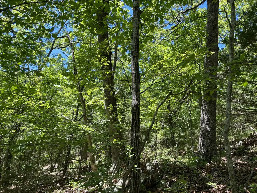 Terrapin Road, Harrison, AR 72601 - #3