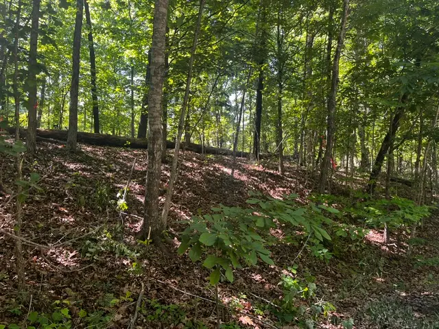 Lot 12 Block 8 Riding Lane, Bella Vista, AR 72714 - #1