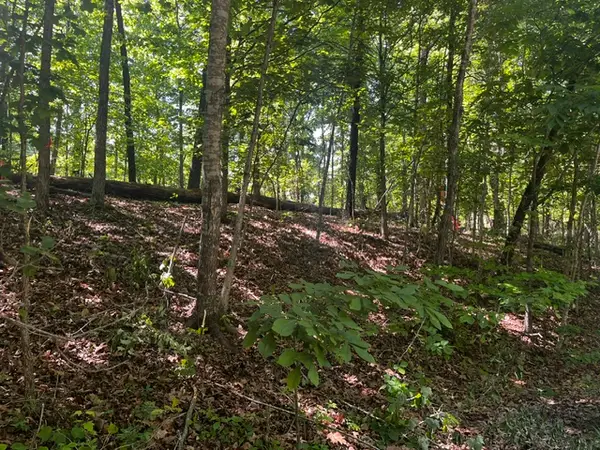 Lot 12 Block 8 Riding Lane, Bella Vista, AR 72714