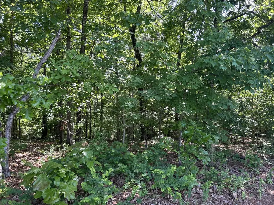 1 Pulham @ Wellington Road, Bella Vista, AR 72714 - #2