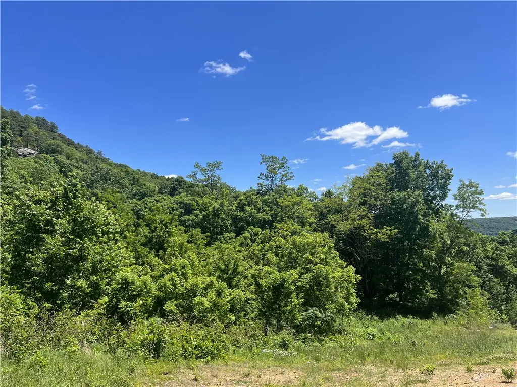 Terrapin Road, Harrison, AR 72601 - #1