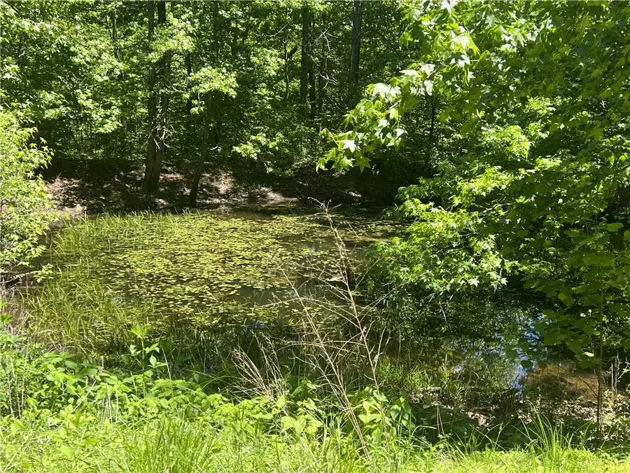 Terrapin Road, Harrison, AR 72601 - #2