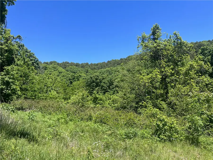 Terrapin Road, Harrison, AR 72601 - #3