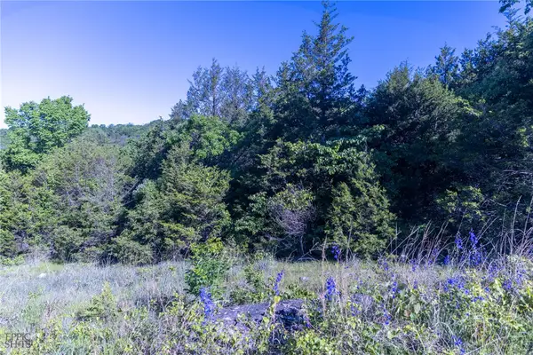 Hwy 246, Berryville, AR 72616