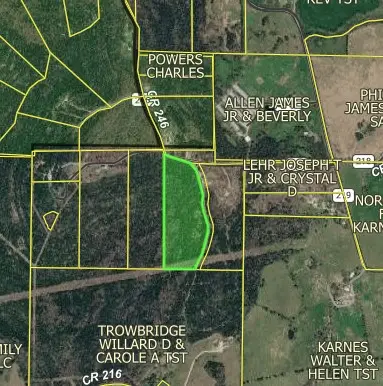 Hwy 246, Berryville, AR 72616 - #2