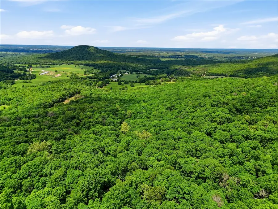 TBD Cr 906, Green Forest, AR 72638 - #2