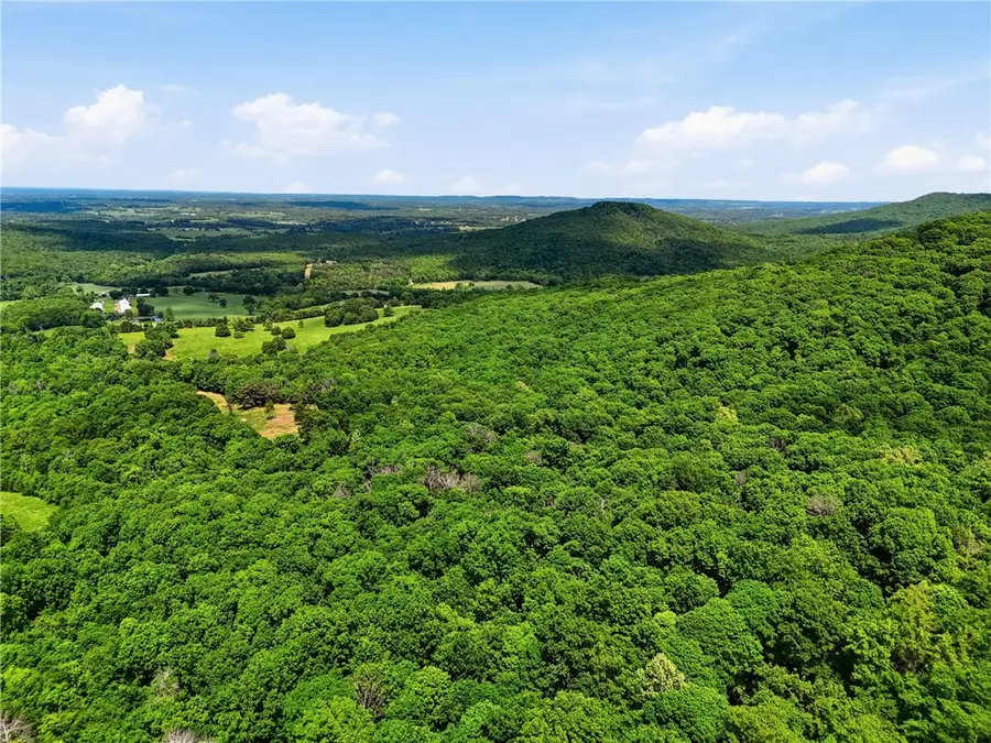 TBD Cr 906, Green Forest, AR 72638 - #3