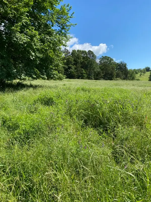 2 Acres on Melton Road, Briggsville, AR 72828